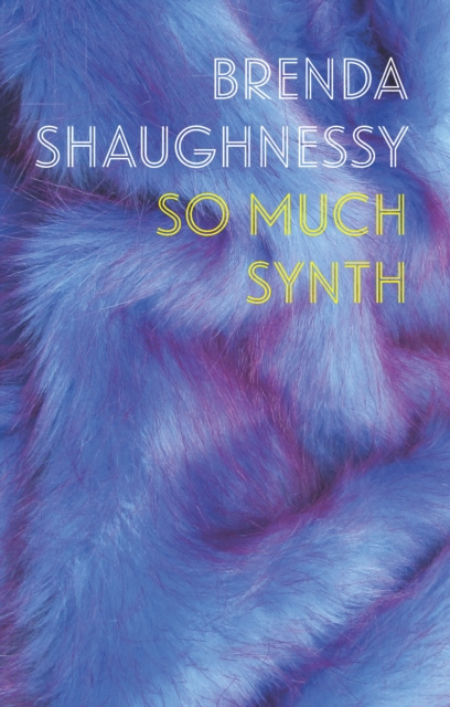 E-Book So Much Synth Brenda Shaughnessy