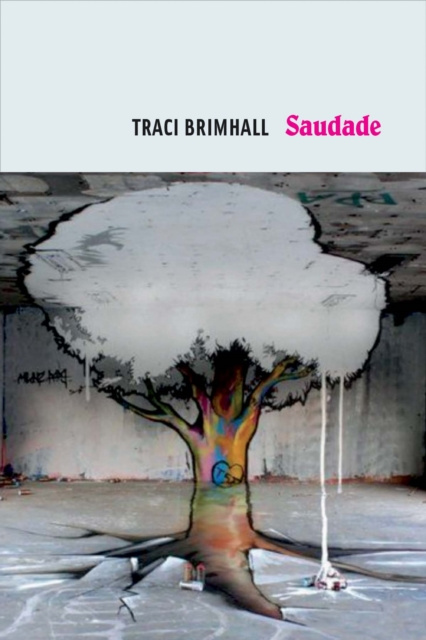 E-Book Saudade Traci Brimhall