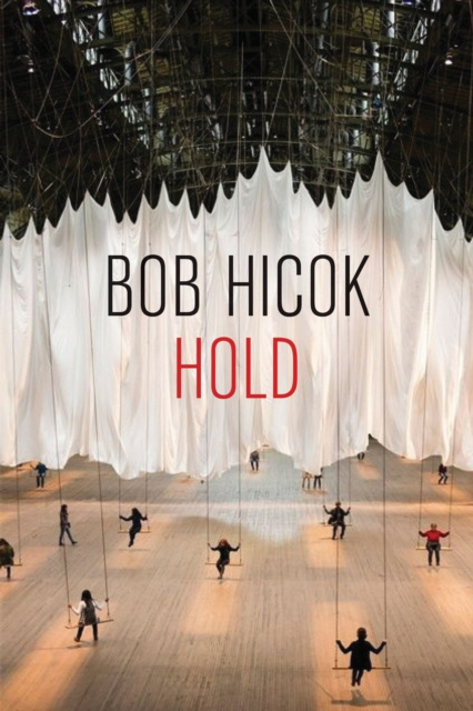 E-book Hold Bob Hicok