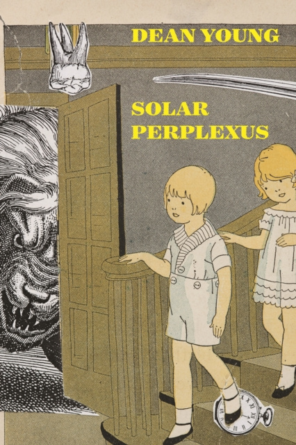 E-knjiga Solar Perplexus Dean Young