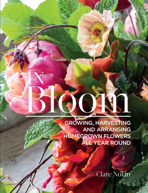 E-kniha In Bloom Clare Nolan