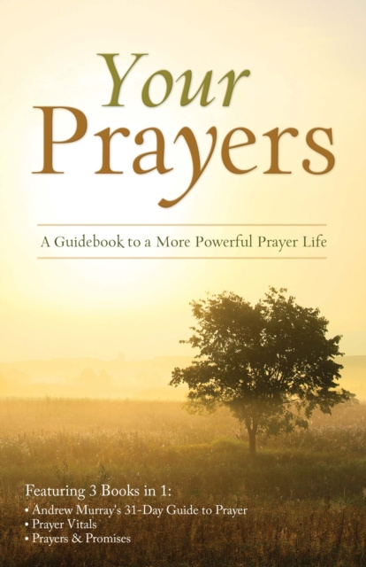 E-Book Your Prayers Tracy M. Sumner