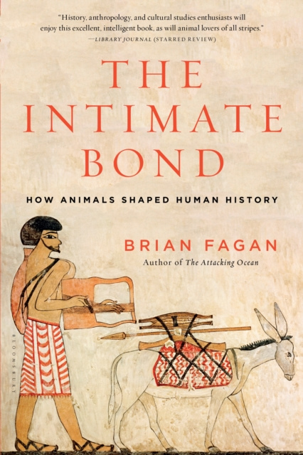 E-book Intimate Bond Fagan Brian Fagan