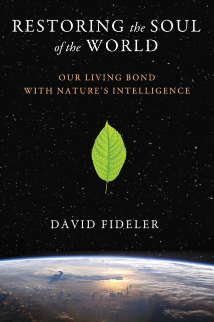 E-kniha Restoring the Soul of the World David Fideler