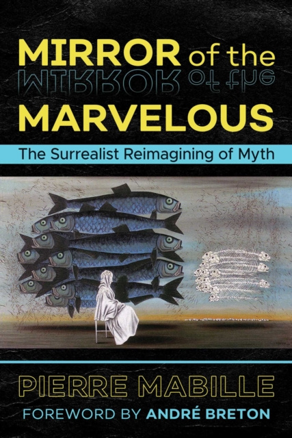 E-kniha Mirror of the Marvelous Pierre Mabille