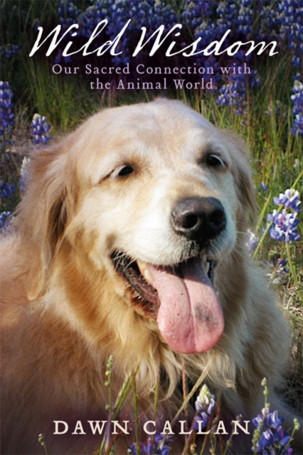 E-book Wild Wisdom Dawn Callan
