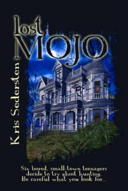 E-book Lost Mojo Kris Sedersten