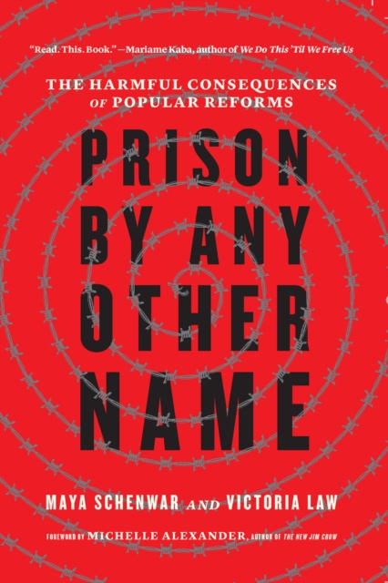 E-kniha Prison by Any Other Name Maya Schenwar