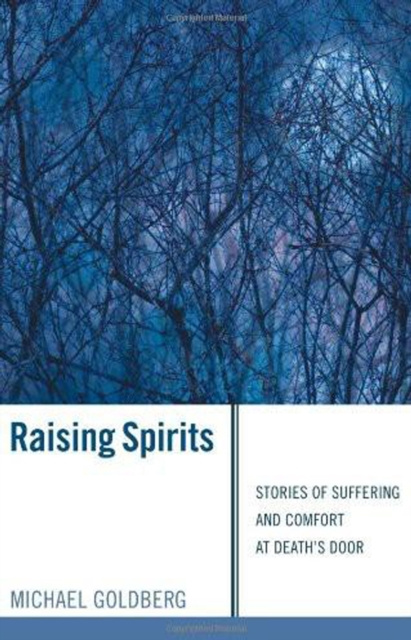 E-book Raising Spirits Michael Goldberg