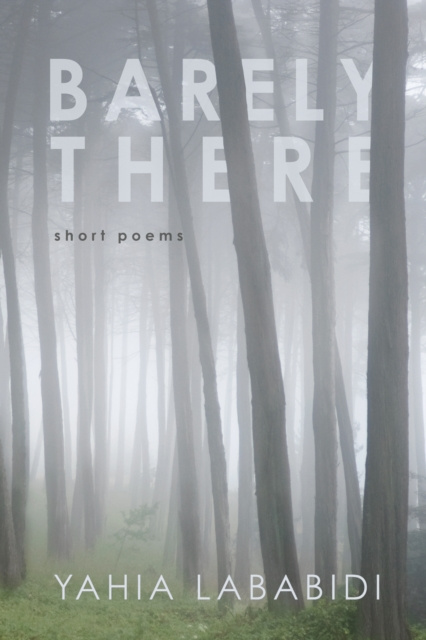 E-book Barely There Yahia Lababidi