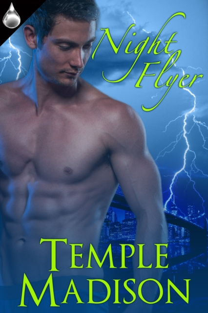 E-book Night Flyer Temple Madison