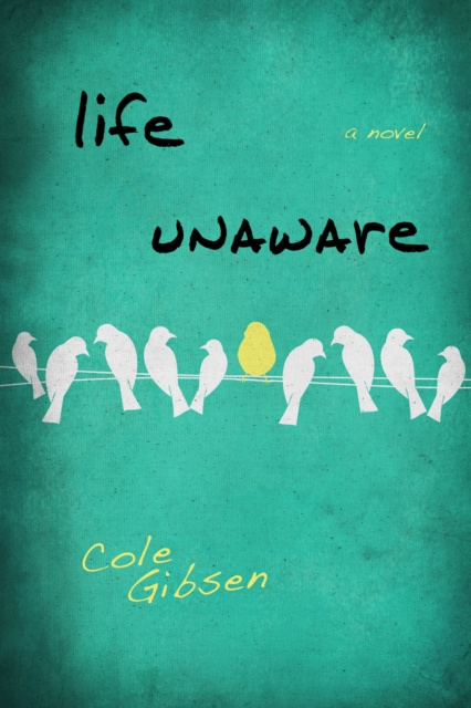 E-knjiga Life Unaware Cole Gibsen