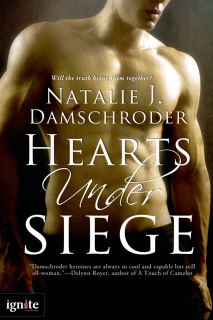 E-knjiga Hearts Under Siege Natalie J. Damschroder