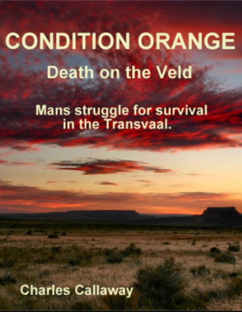 E-knjiga Condition Orange Charles Calloway