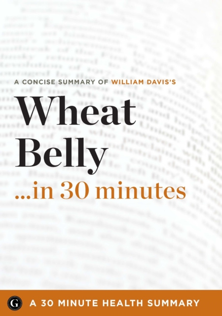 E-knjiga Summary 30 Minute Health Summaries