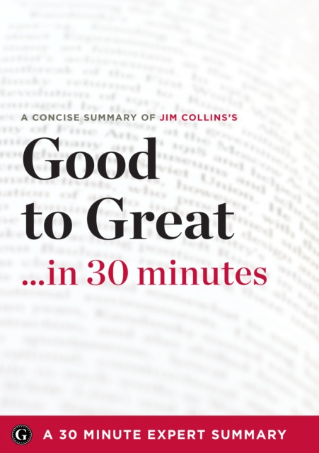 E-knjiga Summary 30 Minute Expert Summaries