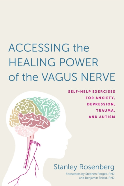 E-kniha Accessing the Healing Power of the Vagus Nerve Stanley Rosenberg