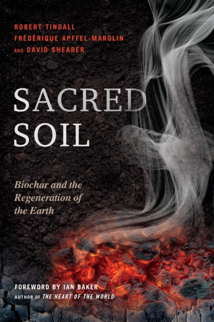 E-kniha Sacred Soil Robert Tindall