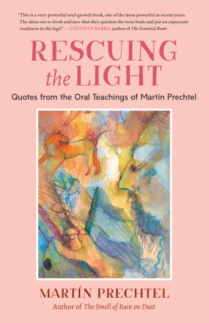 E-book Rescuing the Light Martin Prechtel