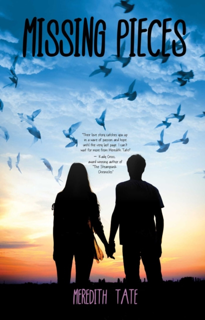 E-book Missing Pieces Meredith Tate