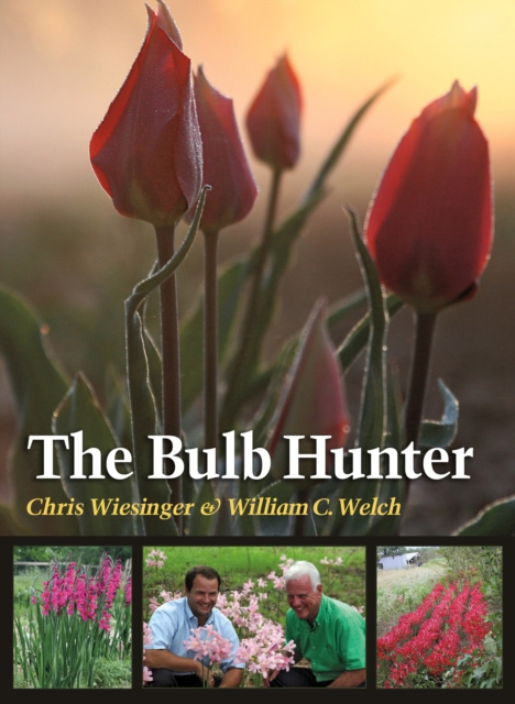 E-kniha Bulb Hunter Chris Wiesinger