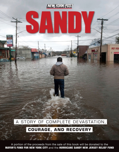 E-knjiga Sandy New York Post