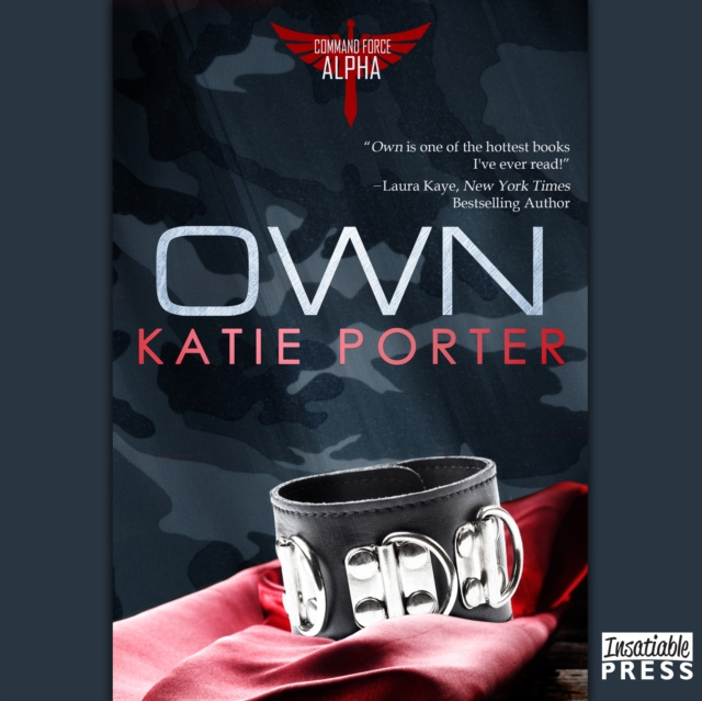 Audiobook Own Katie Porter