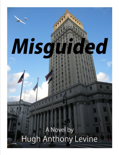 E-knjiga Misguided Hugh Anthony Levine
