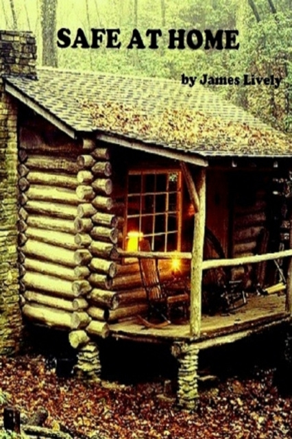 E-knjiga Safe at Home James Lively