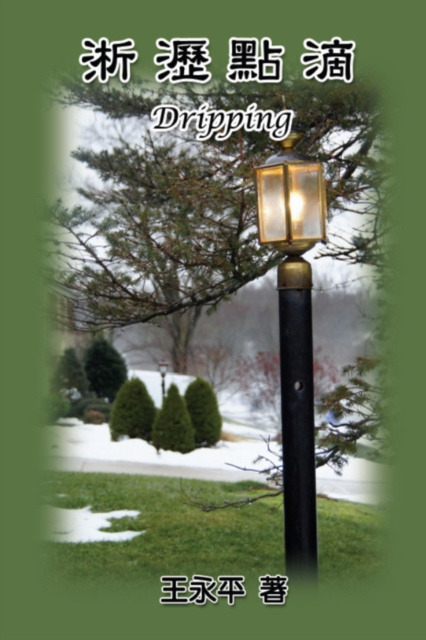 E-knjiga Dripping Charles Y. Wang