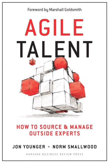 E-knjiga Agile Talent Jon Younger