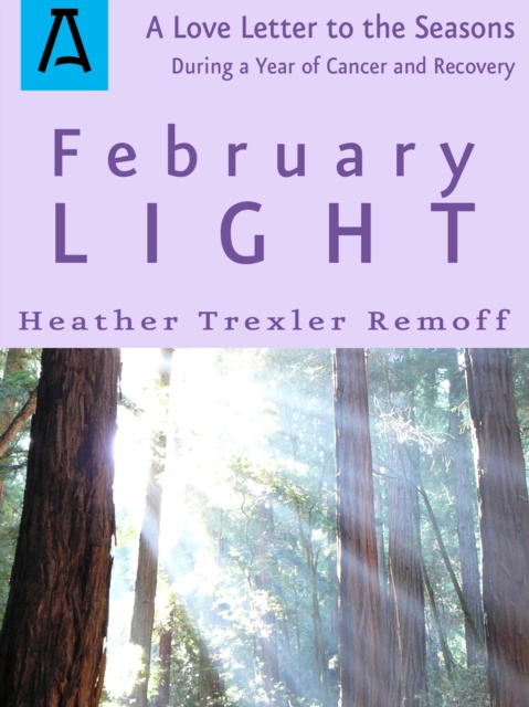E-book February Light Heather Trexler Remoff