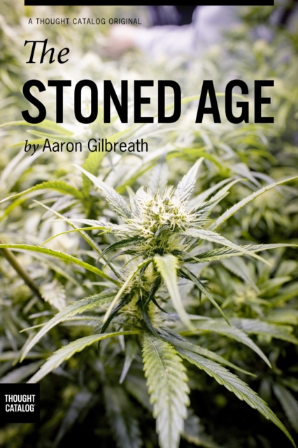E-knjiga Stoned Age Aaron Gilbreath