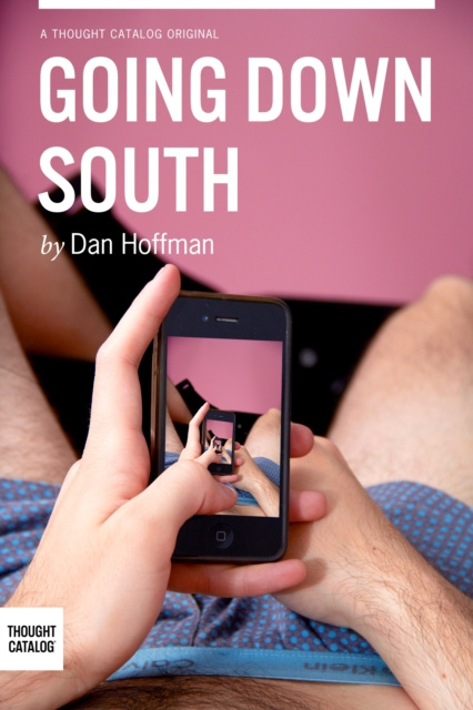 E-knjiga Going Down South Dan Hoffman