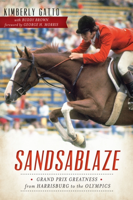 E-book Sandsablaze Kimberly Gatto