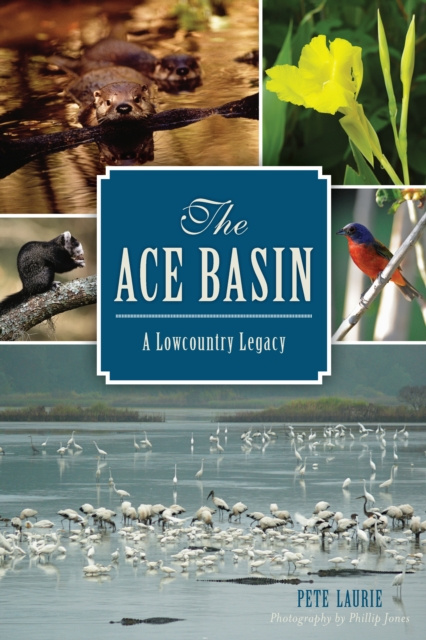 E-knjiga ACE Basin: A Lowcountry Legacy Pete Laurie