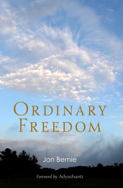 E-kniha Ordinary Freedom Jon Bernie