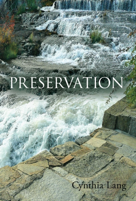 E-knjiga Preservation Cynthia Lang