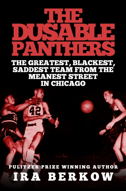 E-knjiga DuSable Panthers Ira Berkow