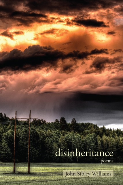 E-knjiga Disinheritance John Sibley Williams
