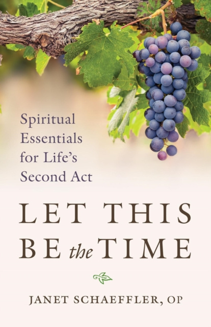 E-knjiga Let This Be the Time Janet Schaeffler