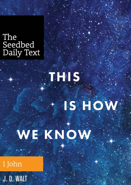 E-book This Is How We Know J. D. Walt