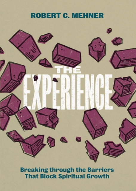 E-knjiga Experience Robert C. Mehner