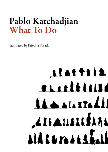E-knjiga What to Do Pablo Katchadjian