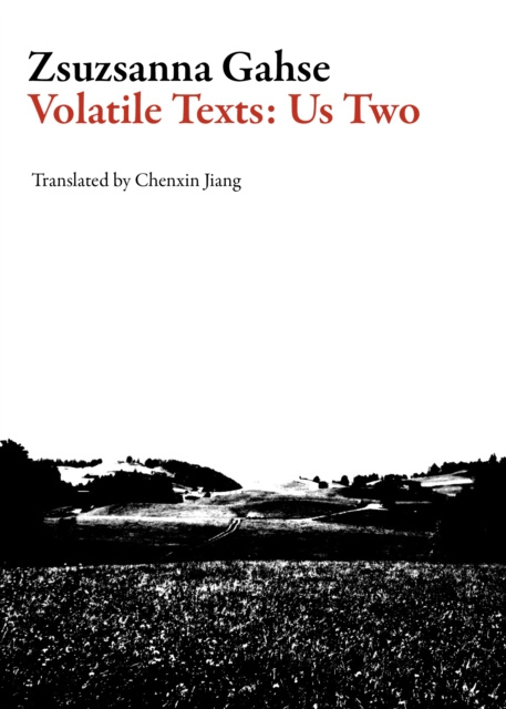 E-book Volatile Texts: Us Two Zsuzsanna Gahse