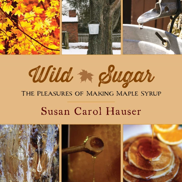 E-knjiga Wild Sugar Susan Carol Hauser