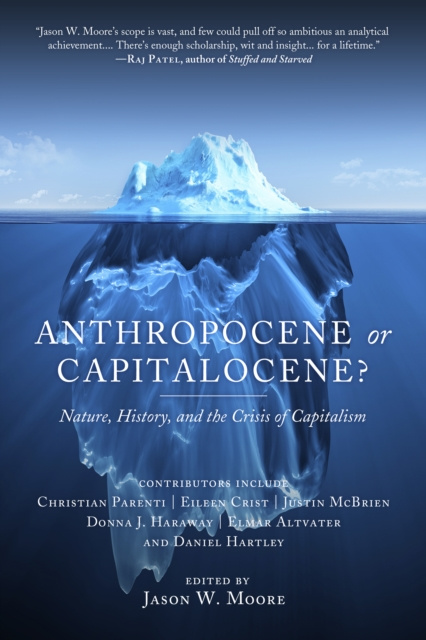 E-kniha Anthropocene Or Capitalocene? Jason W. Moore