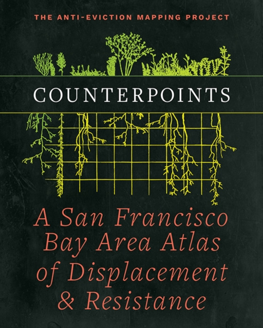 E-book Counterpoints Ananya Roy