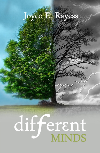E-book Different Minds Joyce E. Rayess