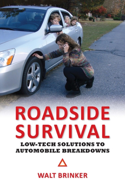 E-knjiga Roadside Survival Walter Evans Brinker